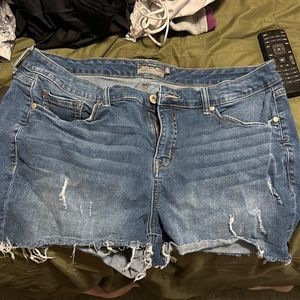 Torrid shorts size 20